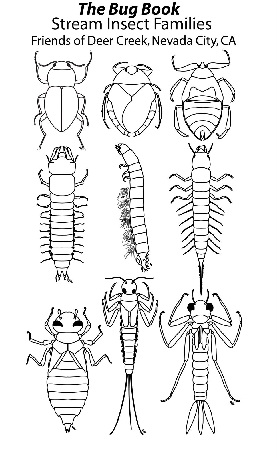 [Aquatic+Macroinvertebrate+Families.jpg]