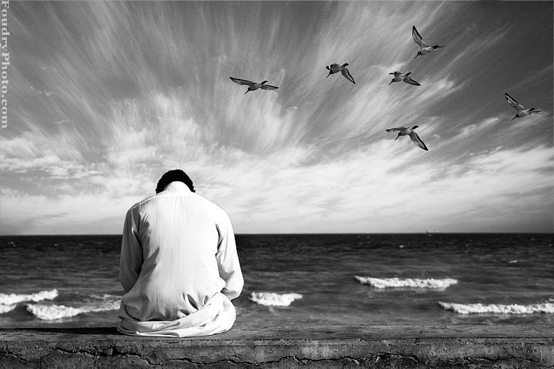 http://4.bp.blogspot.com/_2OKTP0pcLQ4/TJIgifxWvLI/AAAAAAAAAWA/x9xSuKK-JUU/s1600/Alone_with_birds_and_sea.jpg