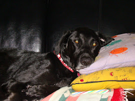 grandDOG