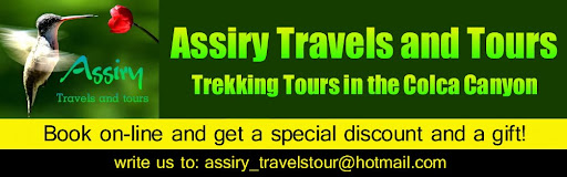 Assiry travels and tours