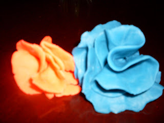 Red and Blue Flowers Image