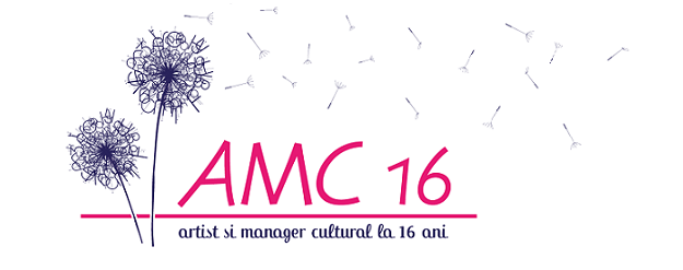 AMC 16: Regulament AMC 16