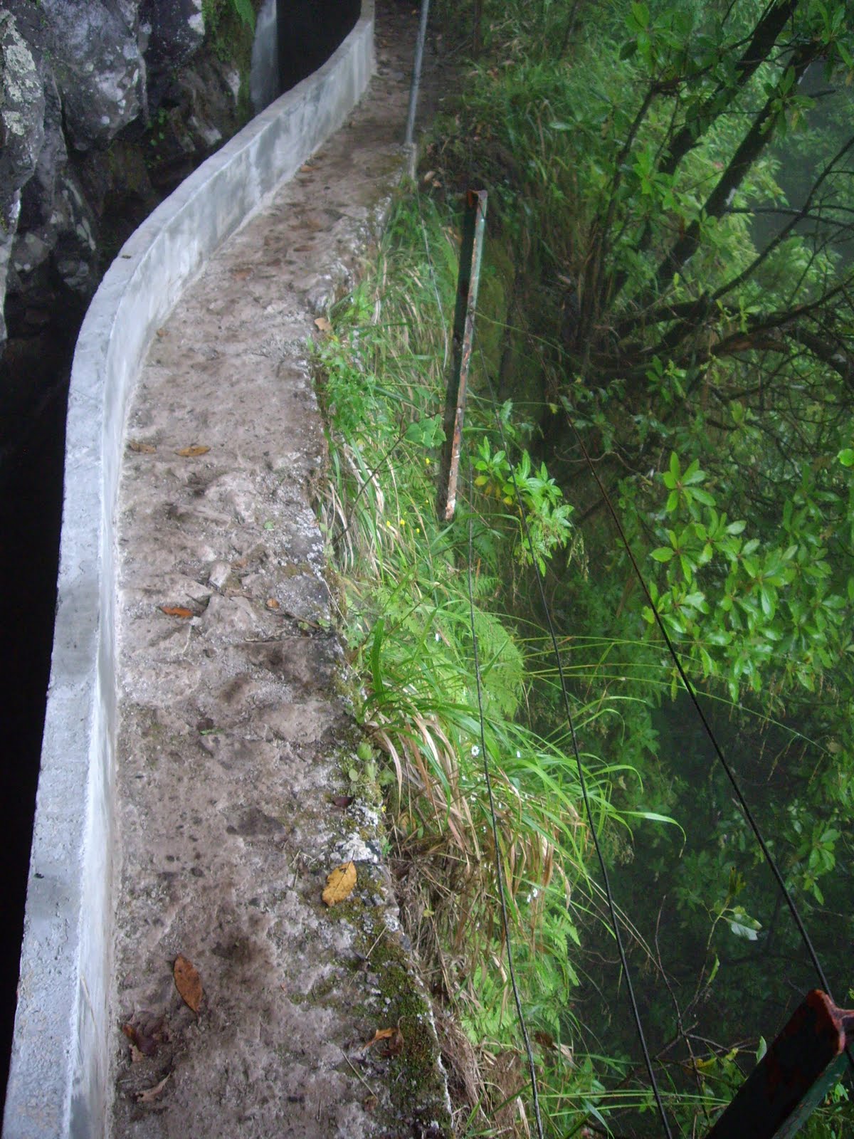 [IMGP8544.JPG]