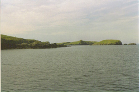 Sud de Valentia coast (Horse Island)