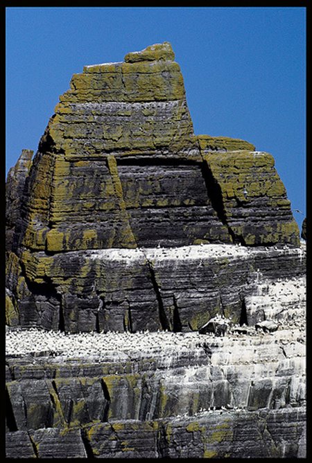 Den "Little Michael", deen aaneren Fiels vun den Skellig Rocks, greissten Brutplaatz vum Basstolpel