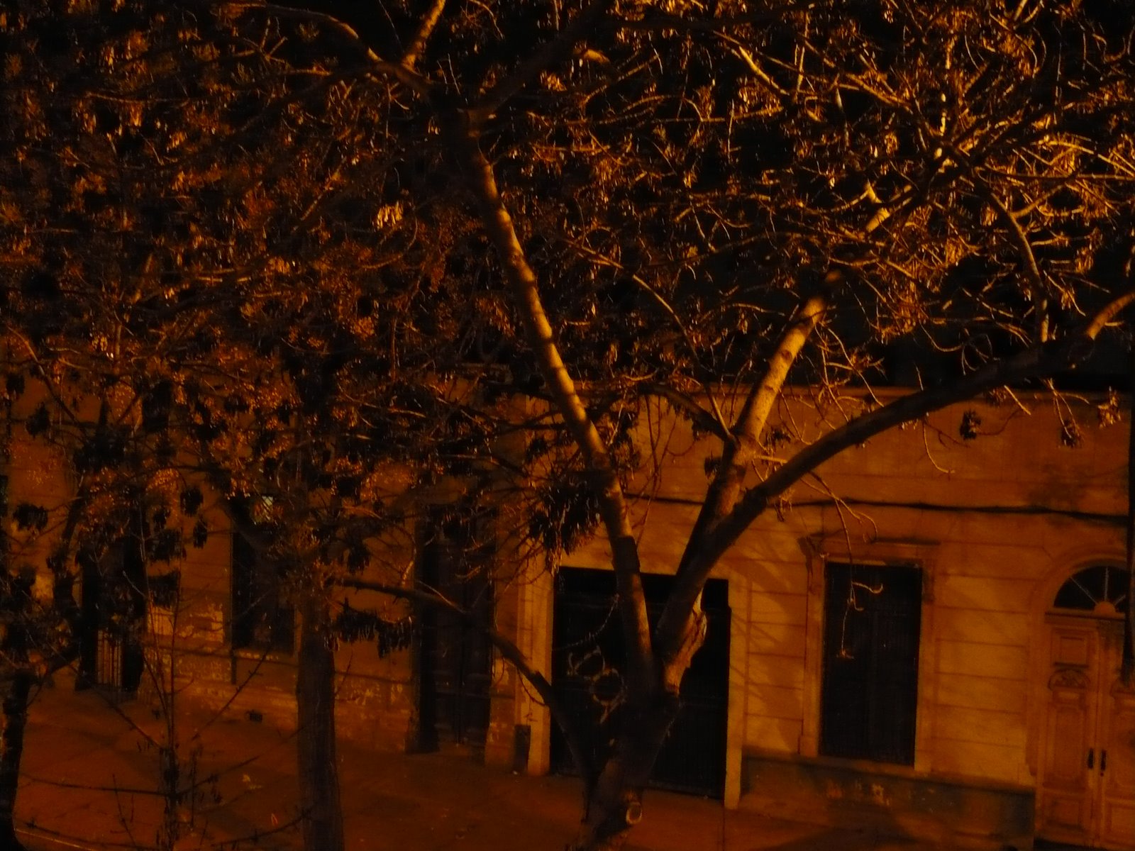 [P1000661.JPG]