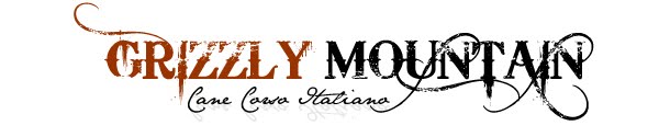 Grizzly Mountain Cane Corso Italiano