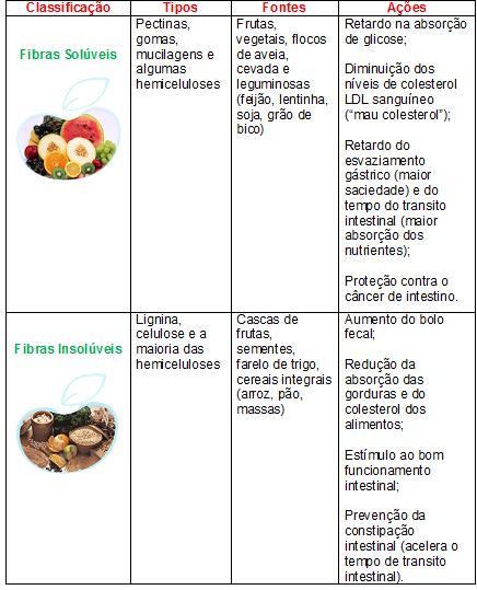 Fibras na alimentação | Dr. Frederico Lobo - Médico Nutrólogo Goiânia -  CRM-GO 13.192 | RQE 11.915