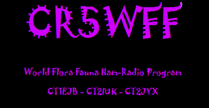 CR5WFF