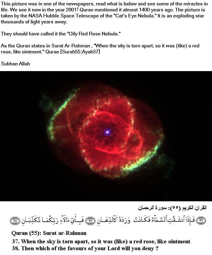 [pics--miracles+of+Allah-rose-surah+Rehman.jpg]