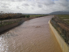 Río Salinoso