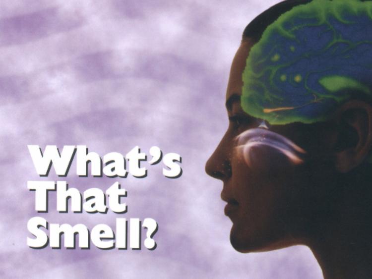 "To God be the glory" Devotional Friday, November 5 The sense of smell