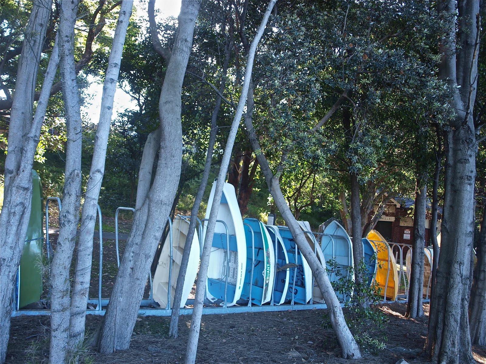 [PA176477.JPG]