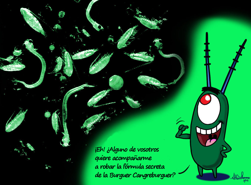 Que Animal é O Plankton Do Bob Esponja ENSINO