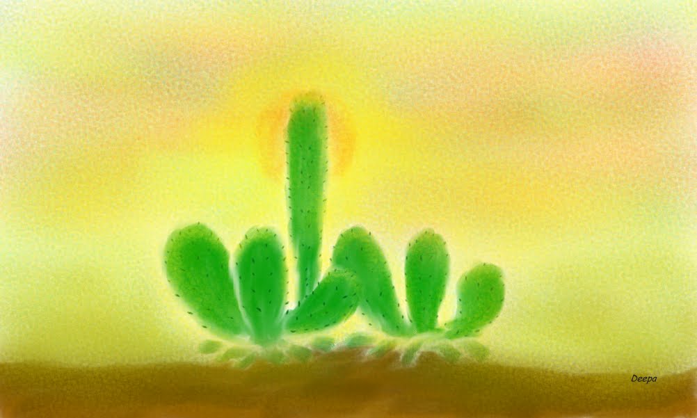 [Cactus+at+sunset.bmp]