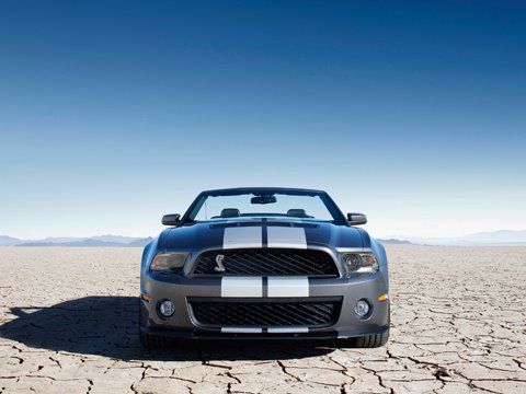 [0901_09_z+2010_ford_mustang_shelby_gT500_convertible+front_view.jpg]