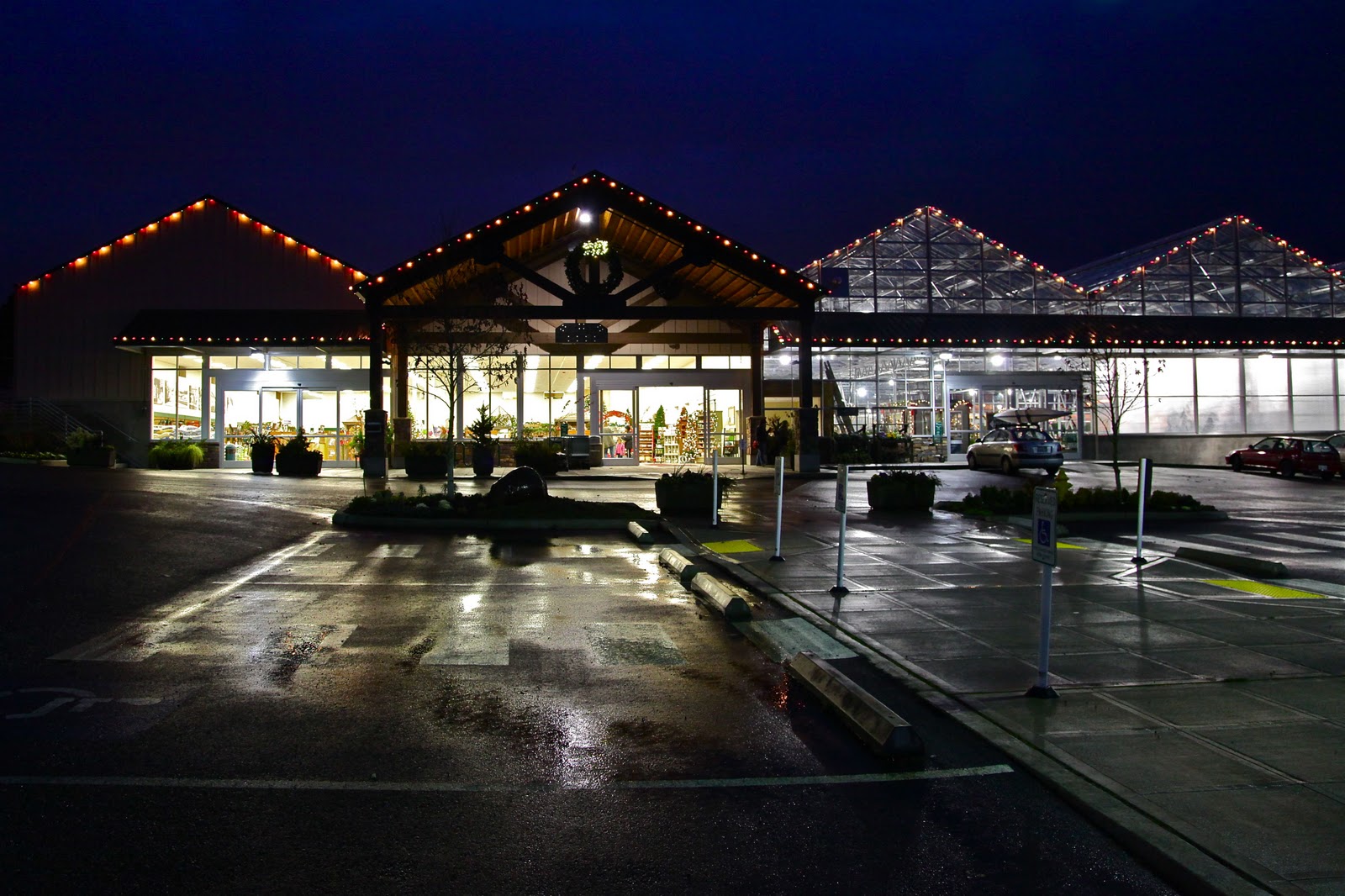 Shoreline Area News Photos Sky Nursery