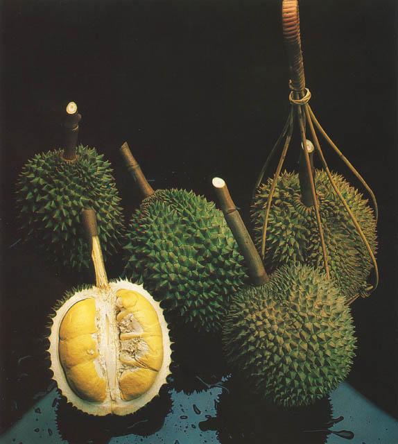 [durian.jpg]