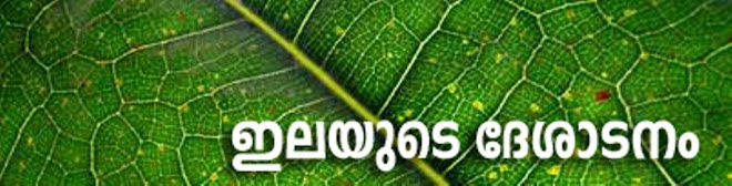 ഇലയുടെ ദേശാടനം