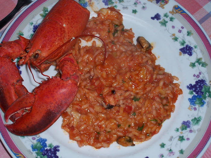 i miei risotti 2008