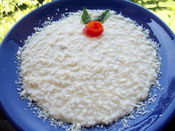 i miei risotti 2010