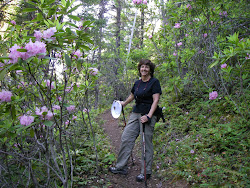 Hiking in the Rhodies