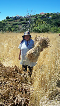 As Ceifas