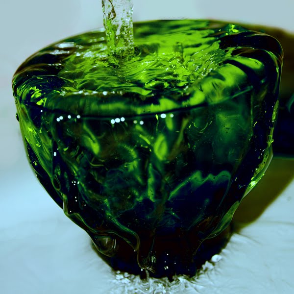 Damn Fresh Pics Beautiful Examples Of Green Photography