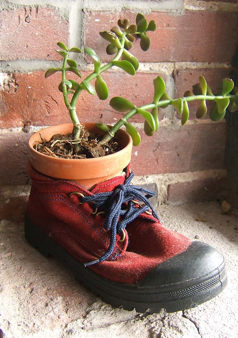 [red+shoe+planter.jpg]