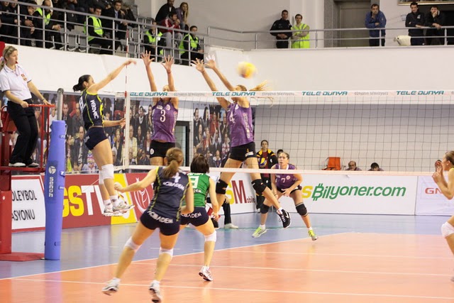 [IMG_4733_resize.jpg]