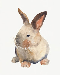 watercolor rabbit painting bunny animals drawing watercolour easter paintings bunnies water illustration dimdi drawings paint friday rabbits alice colour kelly