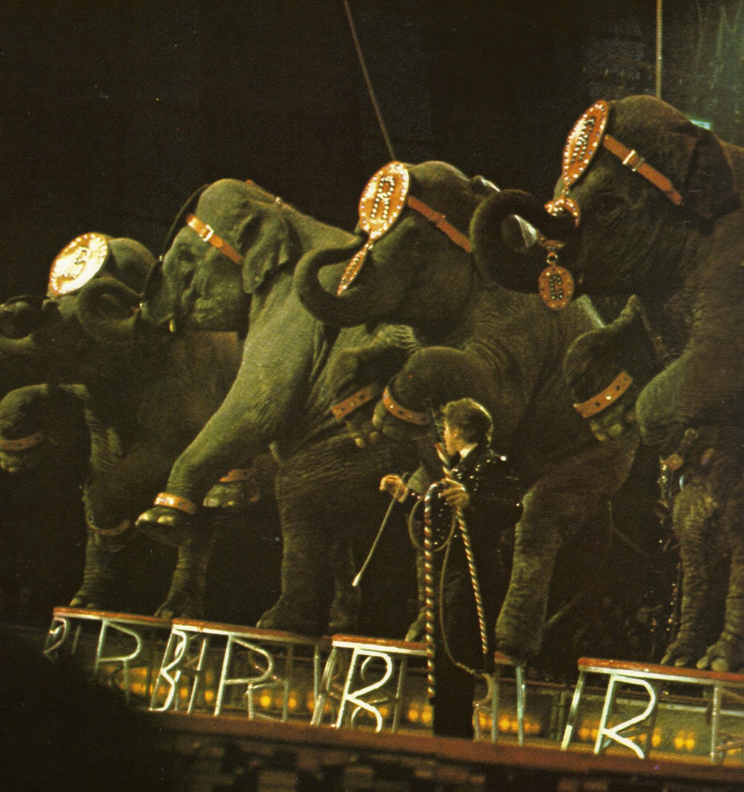 The Circus 