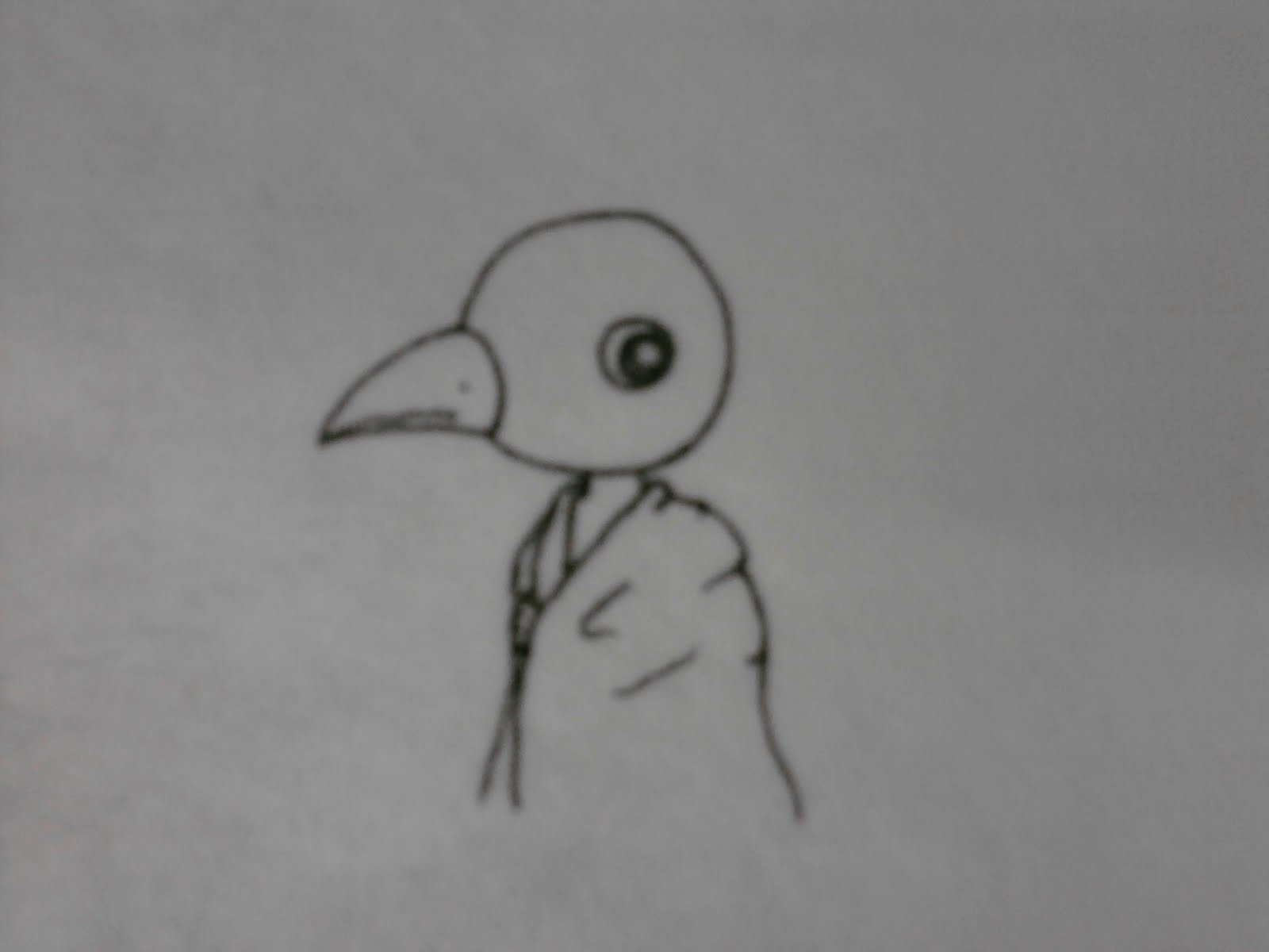 [bird+blanket.jpeg]