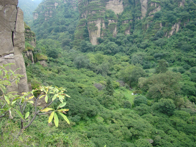 El lugar del nacimiento de Quetzalcóatl