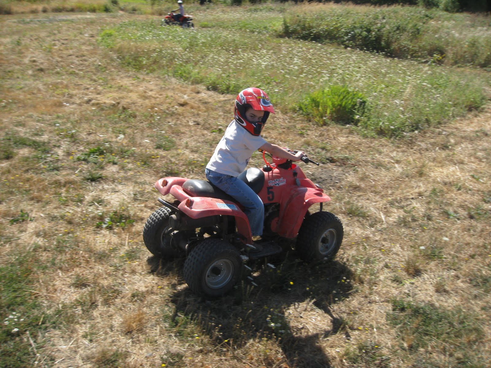 All Things Ryan: Four Wheelers and Four Year Olds