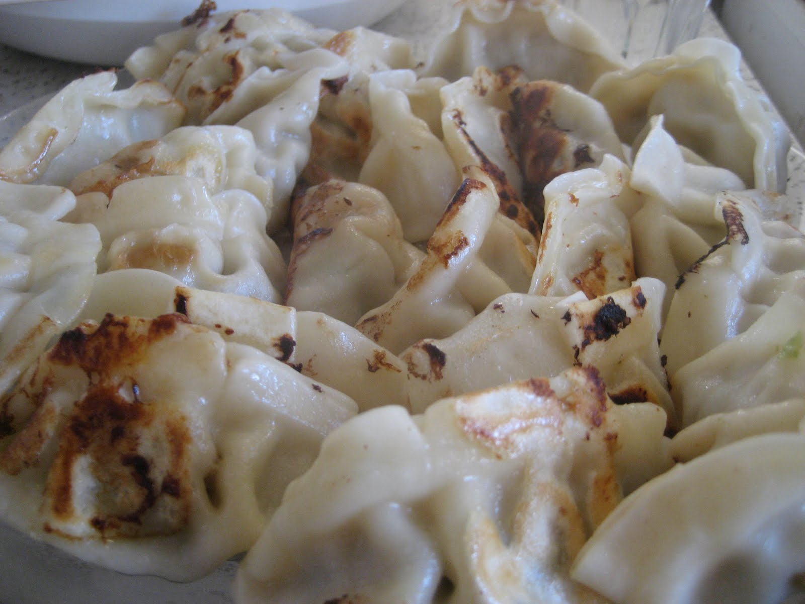 itaste Food How to Cook Perfect Fried Dumplings with Frozen Dumplings