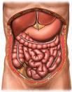[Dolor+Abdominal.jpg]