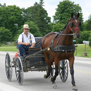 mennonite boys country visit buggy leave carriage typical horse below larue register county driving