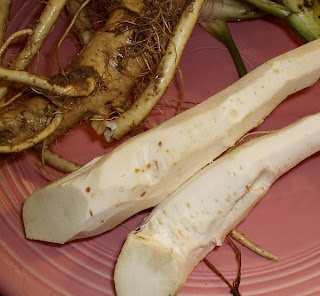 raifort - horseradish
