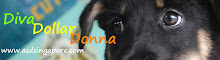 ADOPT A DARLING...