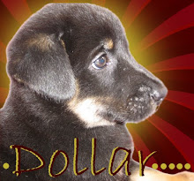 ADOPT DOLLAR : and get your money's worth!