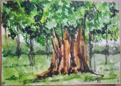 banyan painting watercolour forays quiet moments november into