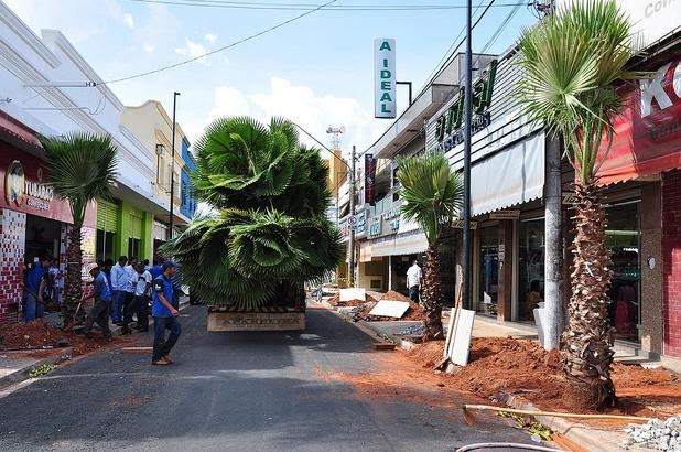 O NOVO JORNAL DO POETA GIBIM: RUA AMAZONAS E OS COQUEIROS