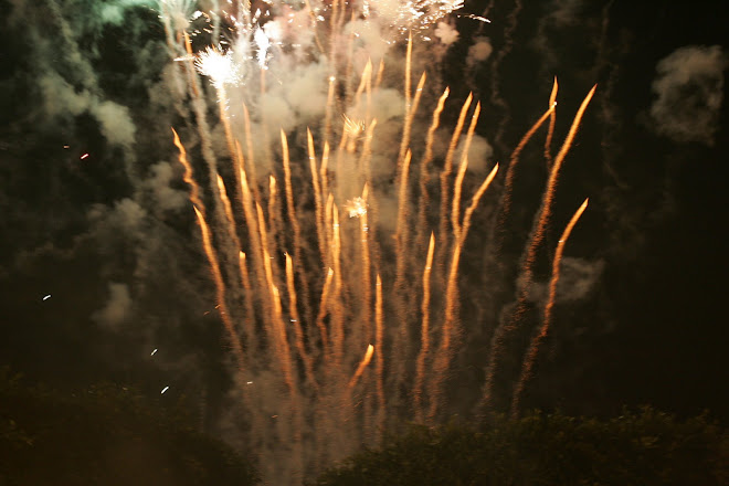 Festival of San Miguel de Allende