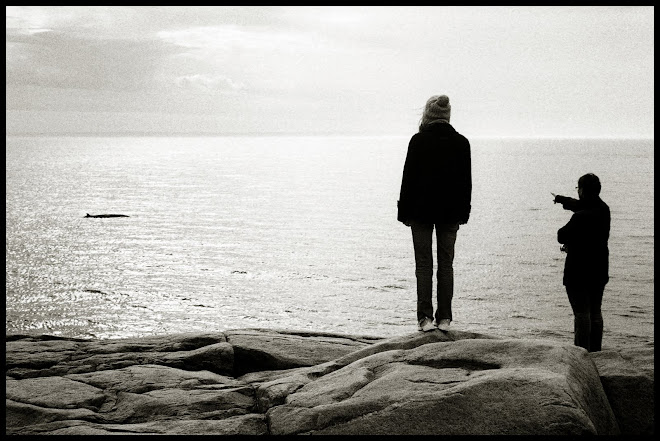 Baleine, Maman de Nico et moi