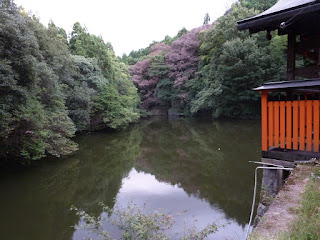 Fushimi Inari lake
