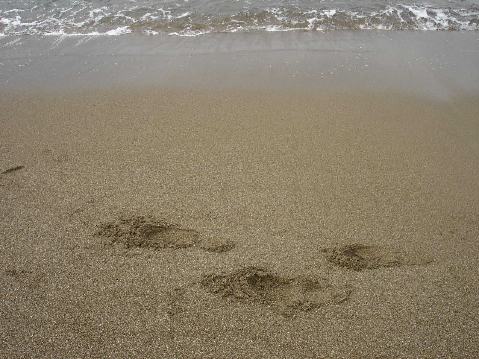 [DSC08997.JPG]