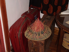 En la casa de Olga Orozco, Toay, ayer con lluvia y su sombrero