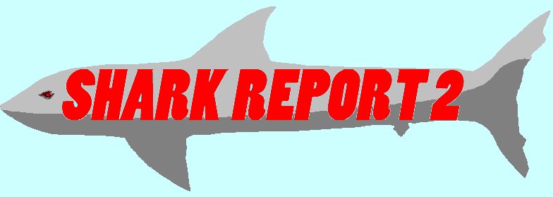 shark report 2