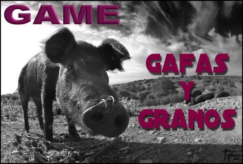 GAME - GAFAS Y GRANOS